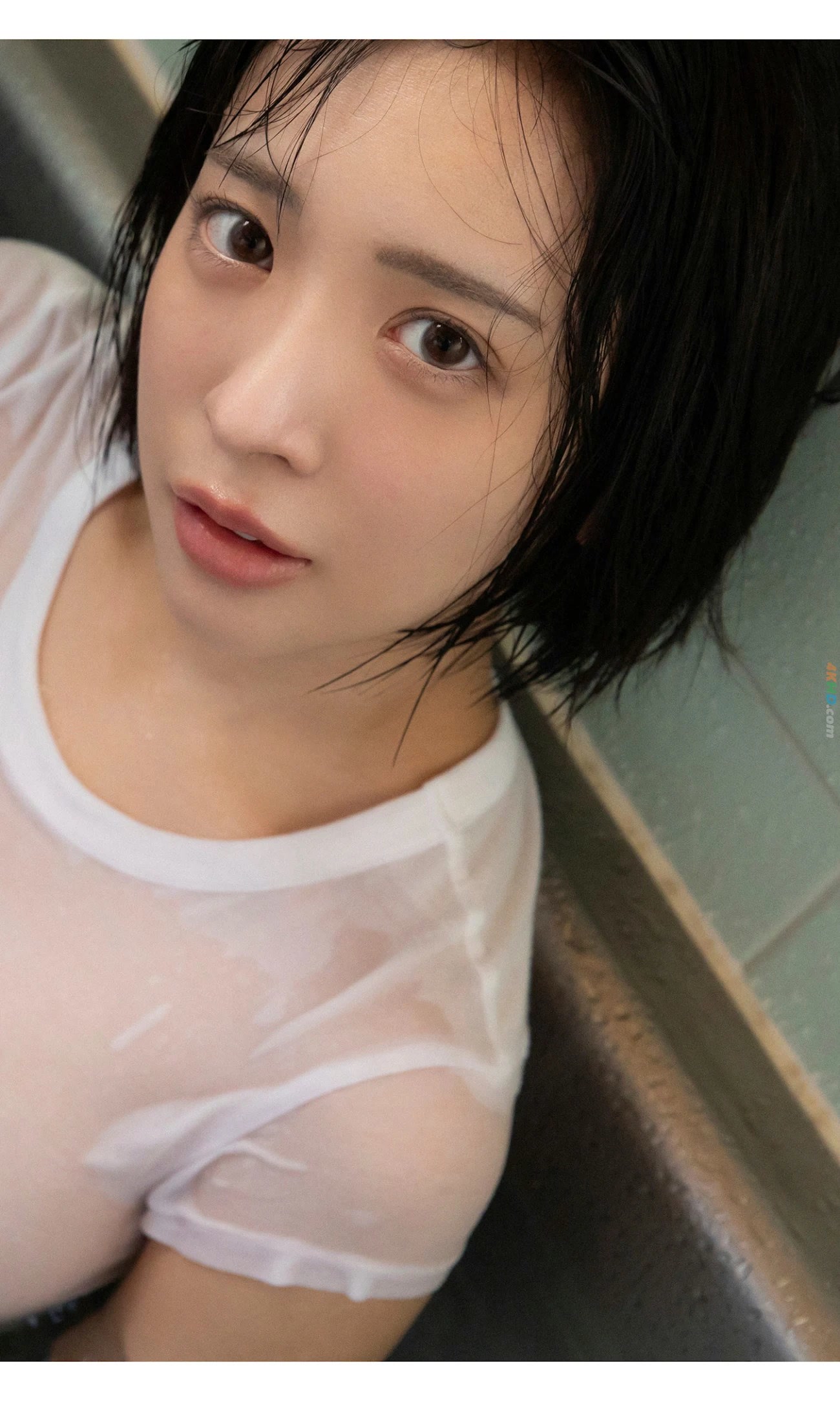 185325?hash=93e420