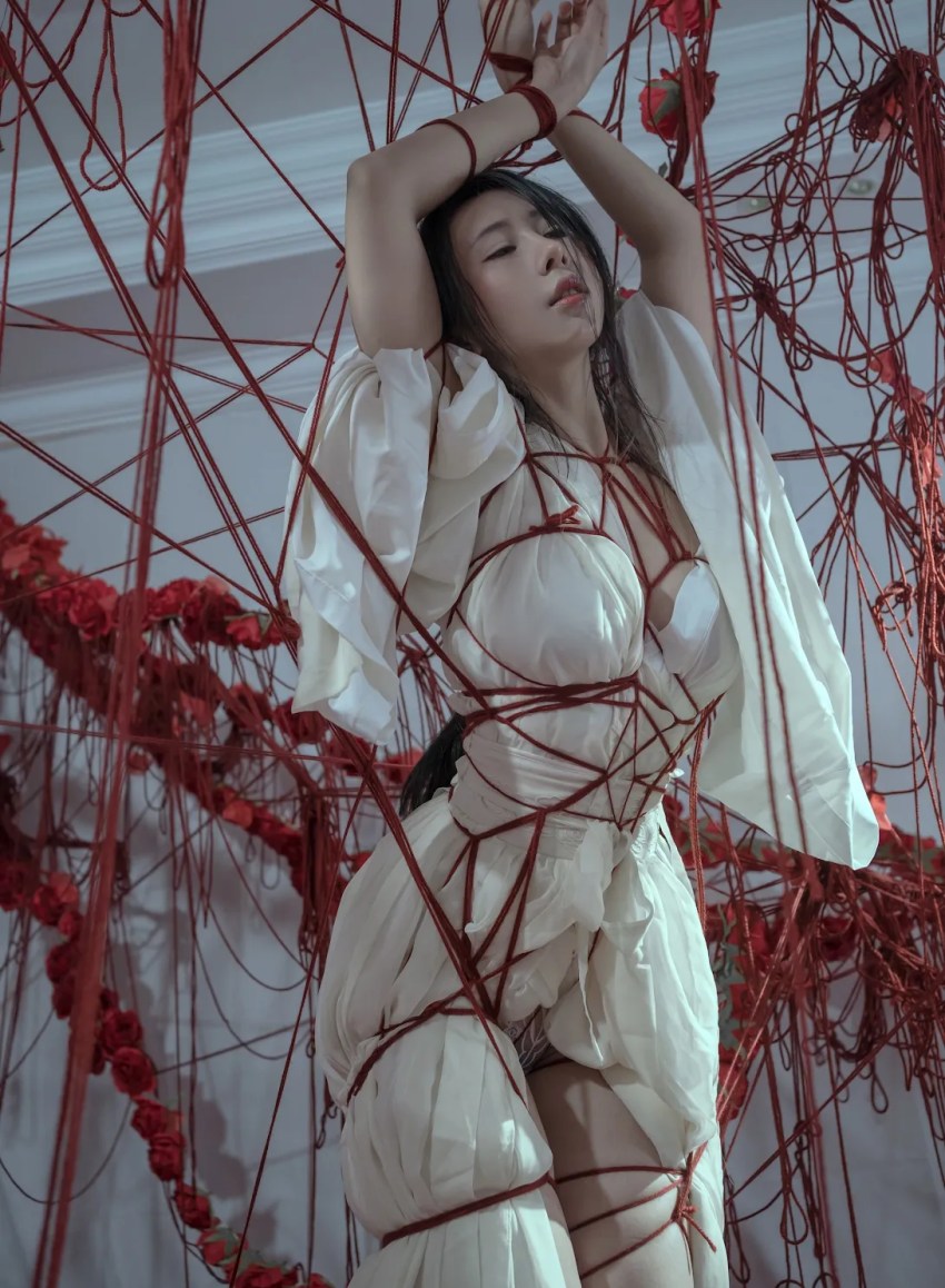 50481?hash=ce92c5